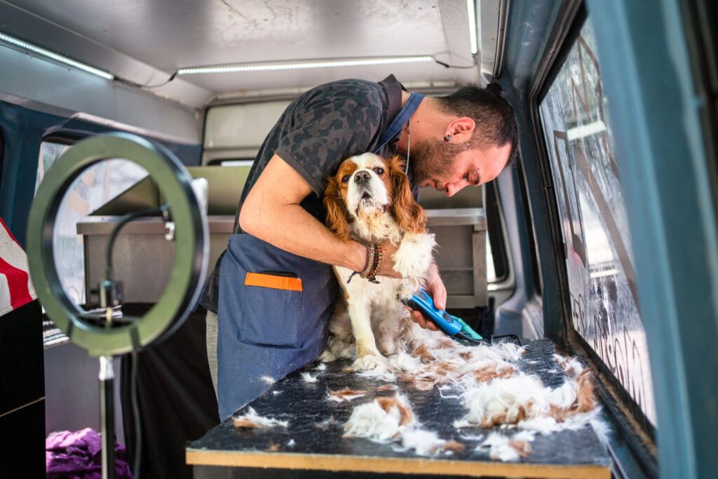 mobile pet grooming van with dog and cat