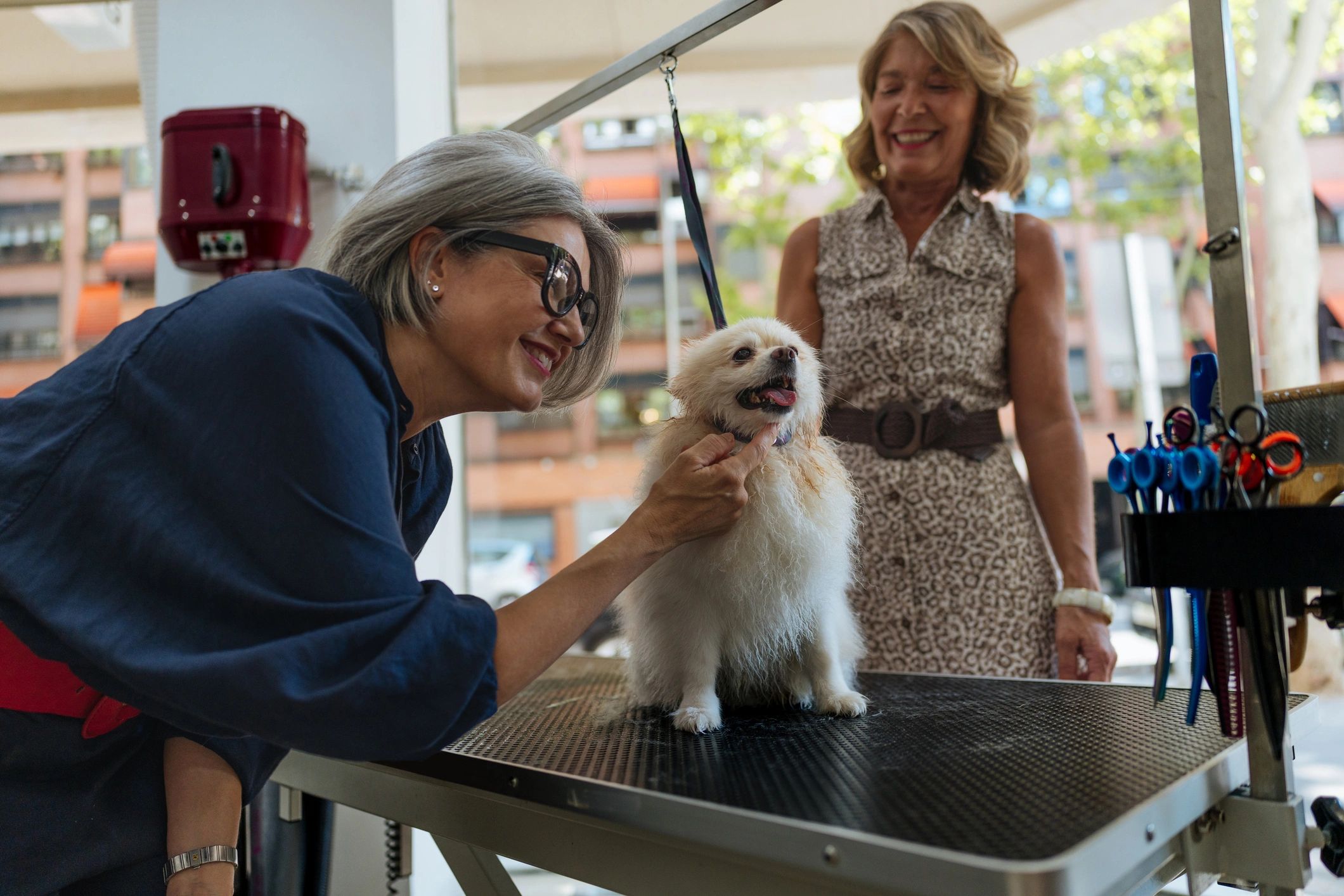 happy pet grooming client